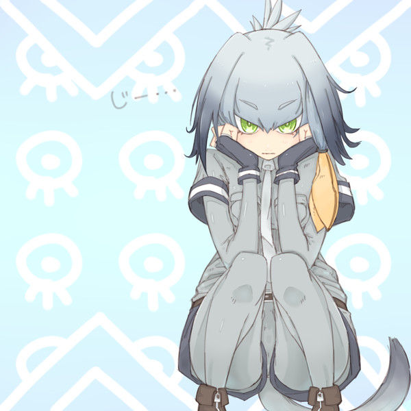 みつめるハシビロちゃん