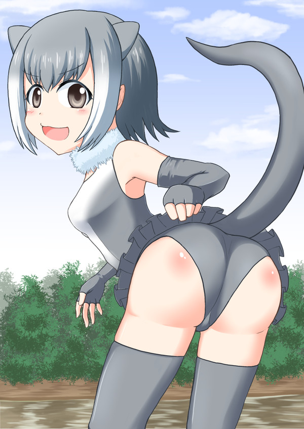 コツメカワウソ