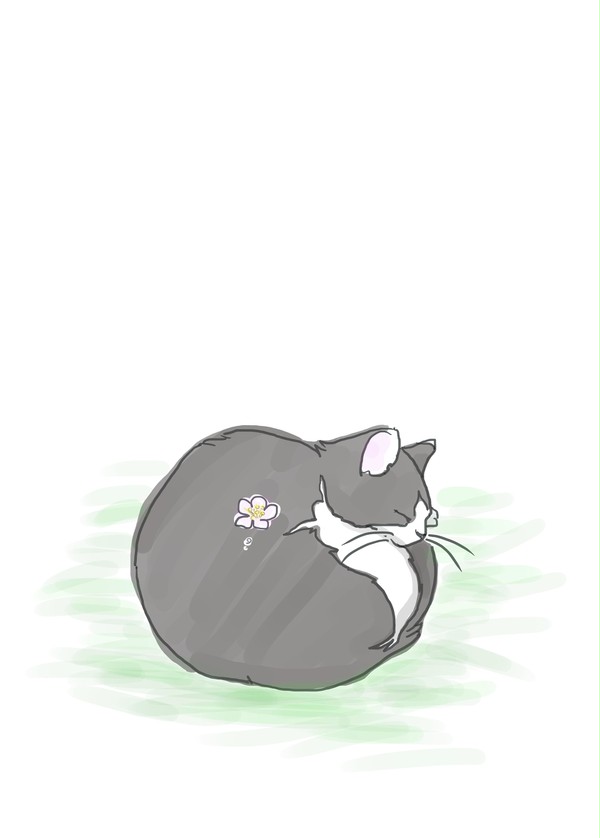 梅とにゃんこ