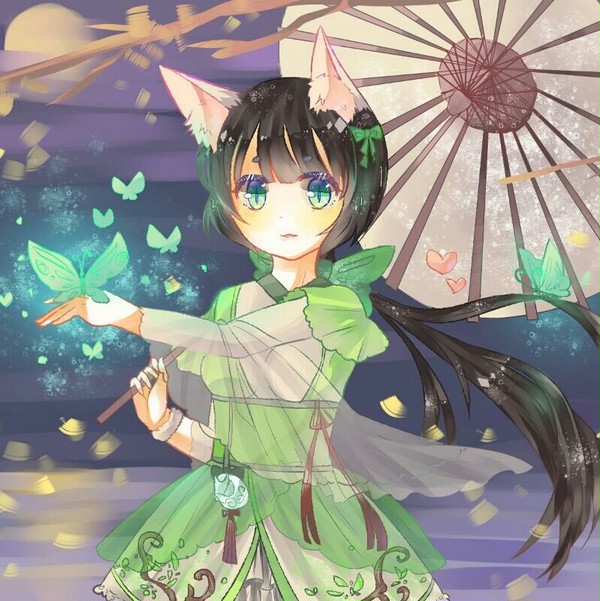 浅狸