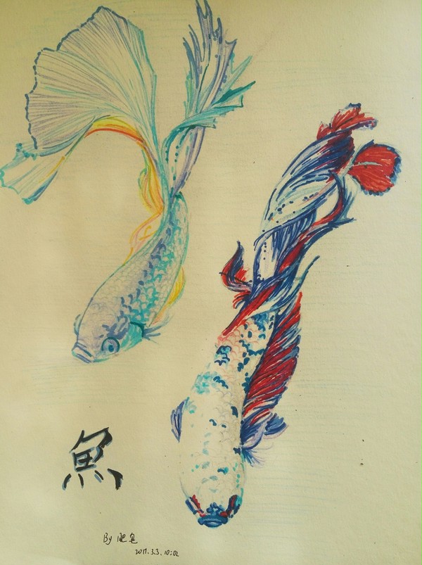 鱼