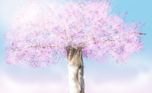 桜花抄
