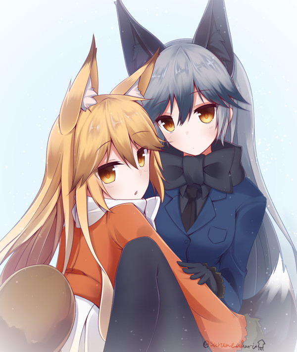キタキツネとギンギツネ