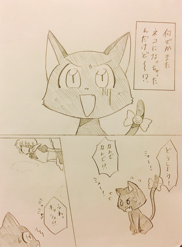 突然猫になってしまったお話