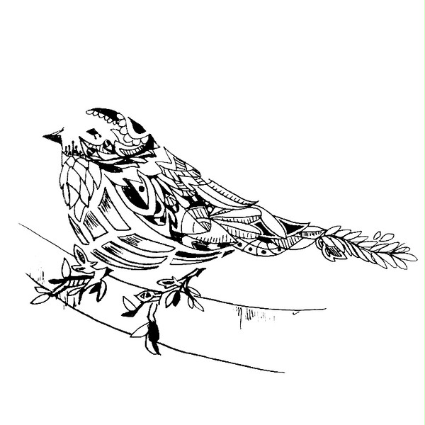 鳥