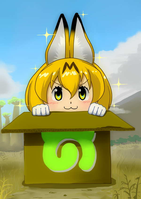 ダンボールぅ…ですかねぇ…