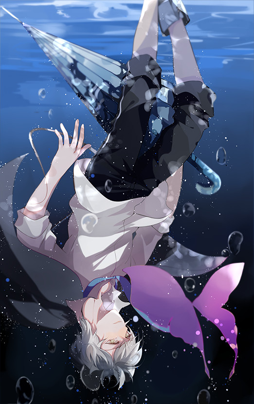 睡鼠