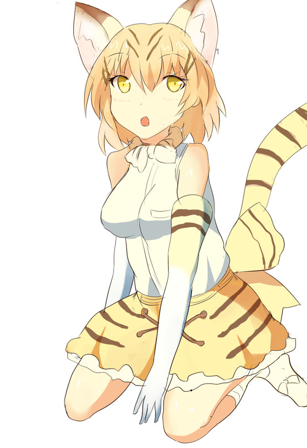 スナネコちゃん