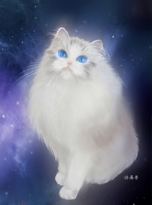 画猫