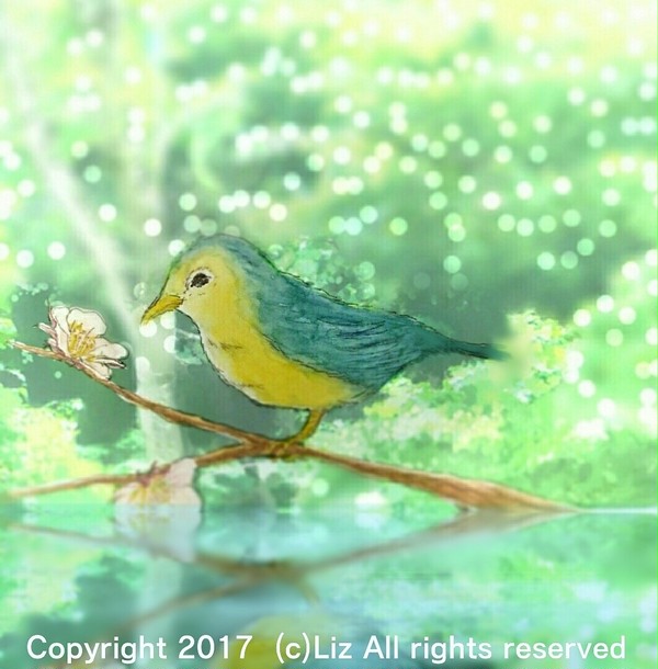 はるまちどり　　Spring Bird