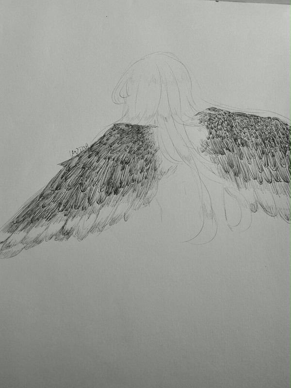 my Wings