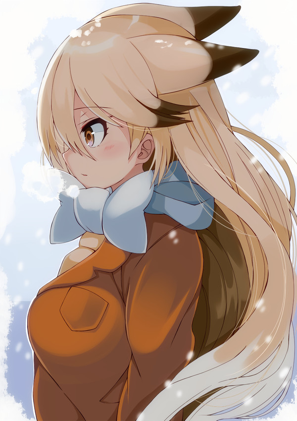キタキツネちゃん
