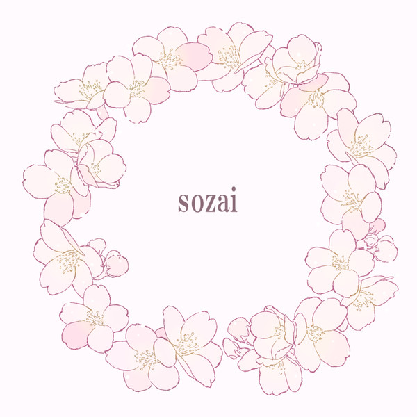 【素材】桜