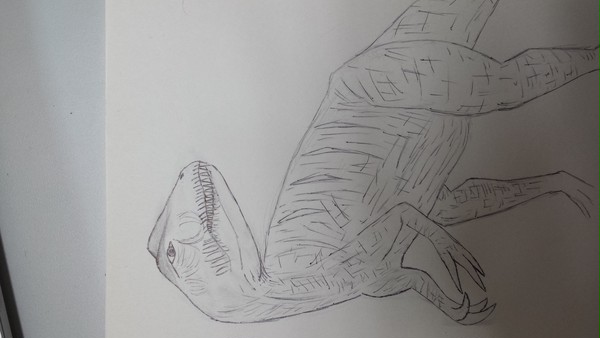 Big AL sketching