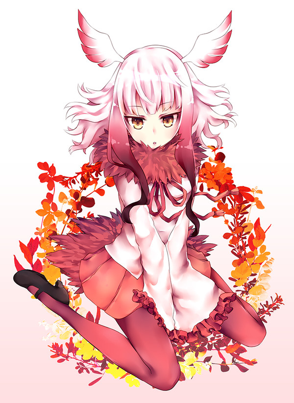 トキ～～～～