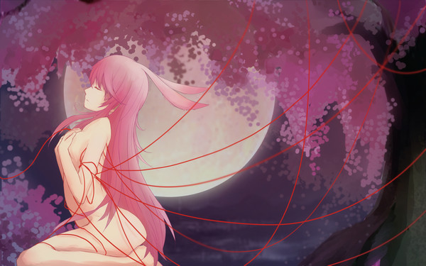 【崩壊3rd】Sakura