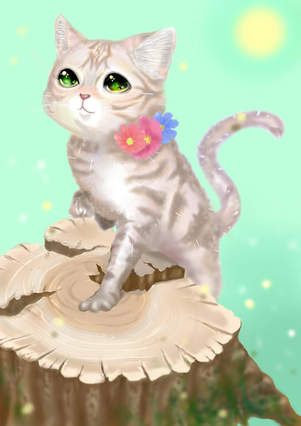 子猫