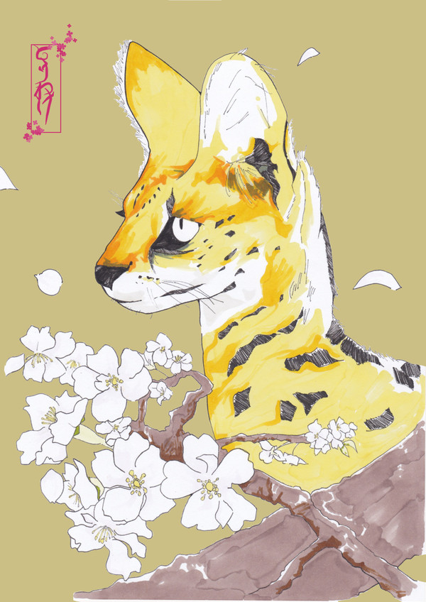 サーバルと桜