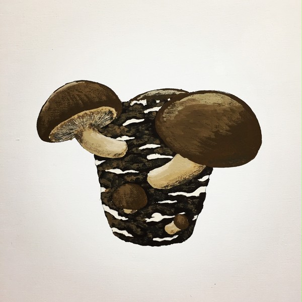 しいたけ（菌床栽培）