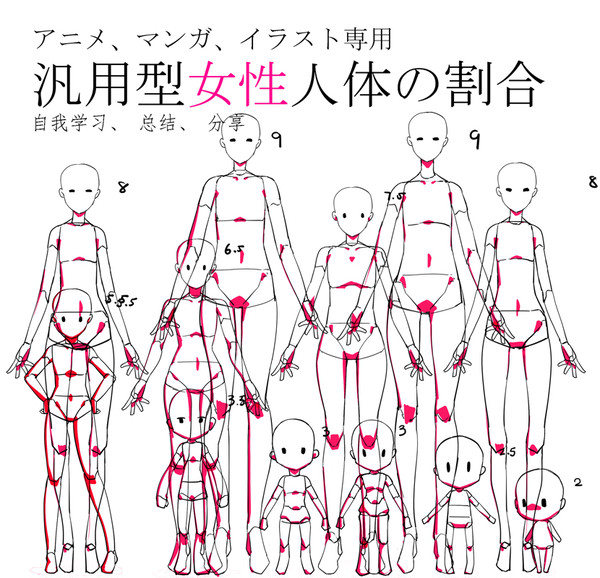 汎用型女性2-9頭身人体の割合