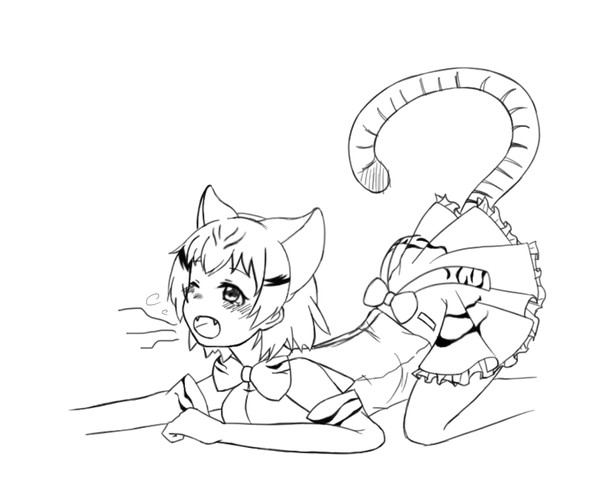 スナネコちゃん
