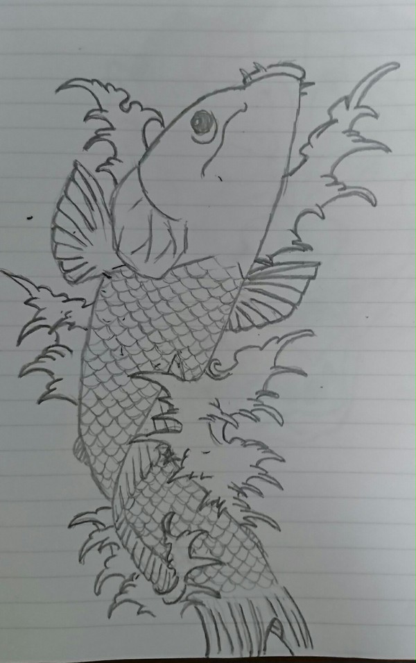 鯉