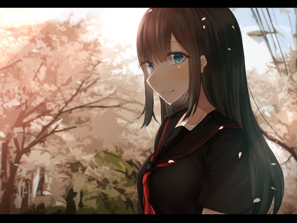 桜の季節