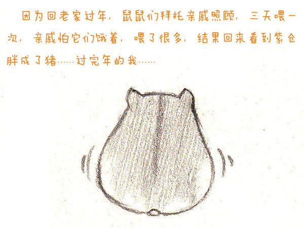 仓鼠（中国語注意） ハムスター Hamster