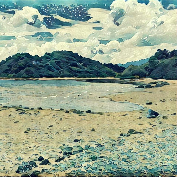 海