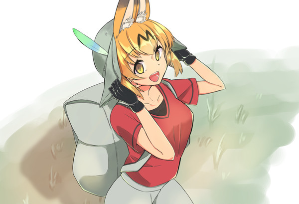 かばんちゃんの皮をかぶったサーバルちゃん