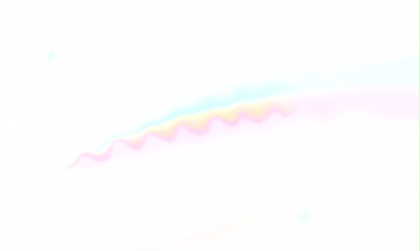 bug