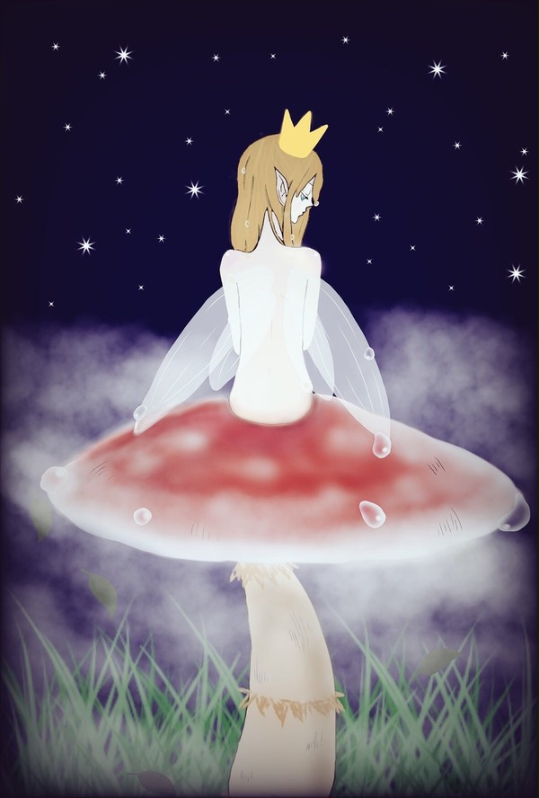 fairy night