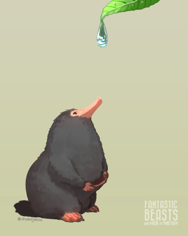 ニフラー