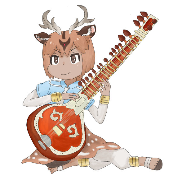 シタールを弾くアクシスジカ 弦追加