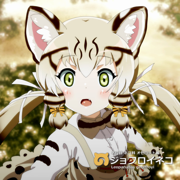 ジョフロイネコちゃんでち！