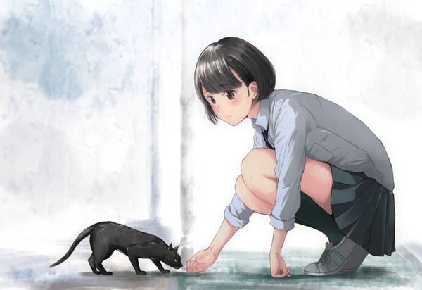「どこから来たの?」