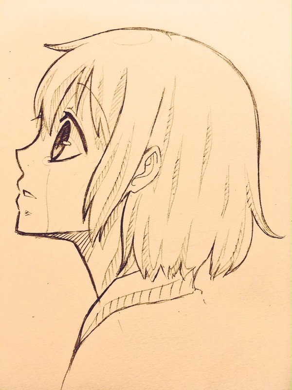 「ただひたすらに、美しい眺めだった。」