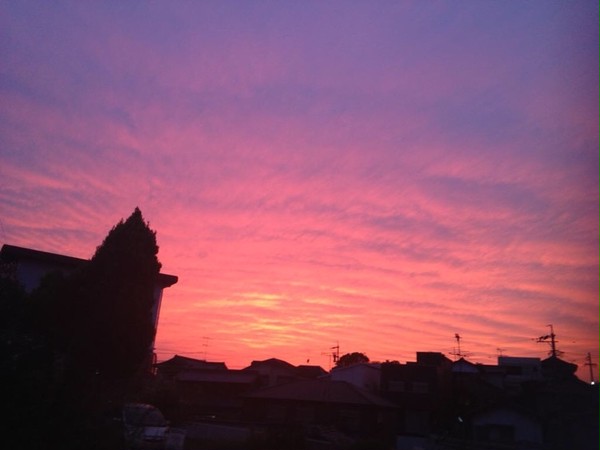 ある日の夕日