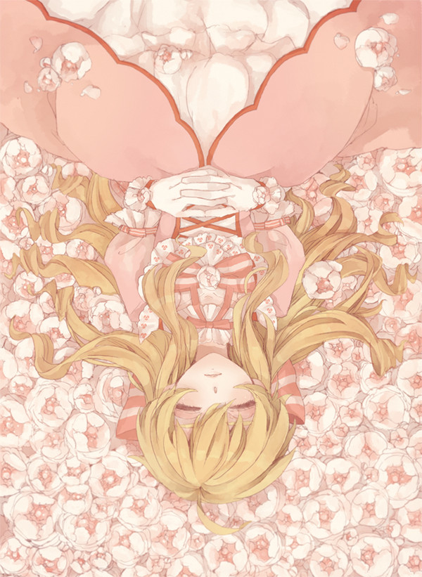 🌹🌹🌹