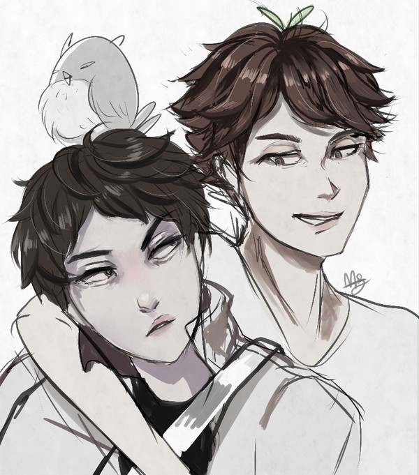 oikawa and akaashi x oc