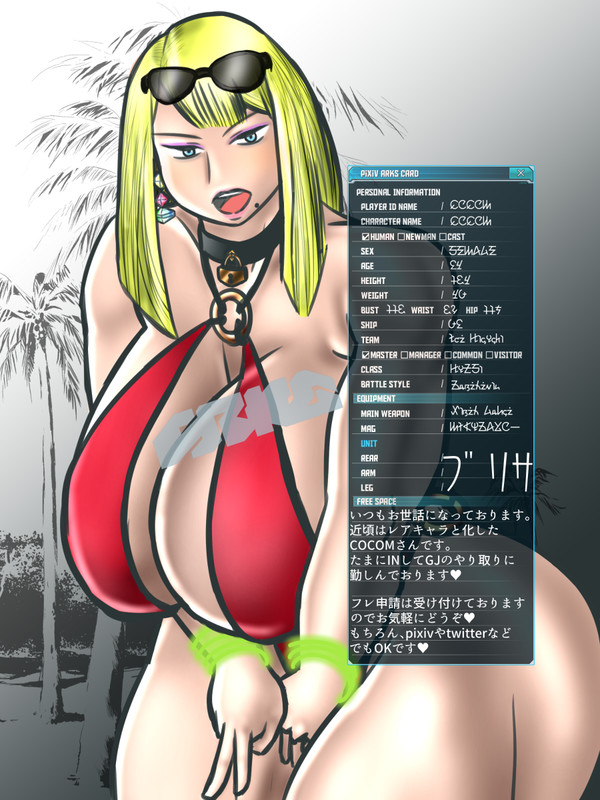 アークスカード更新