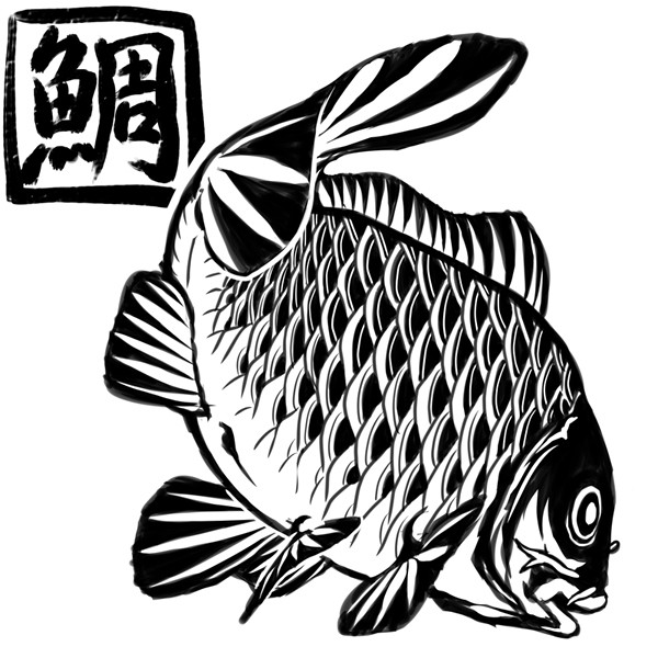 我が家の鯛