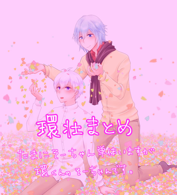 環壮４