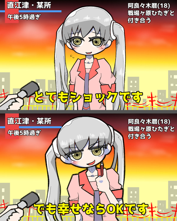 例のインタビュー
