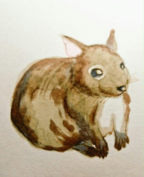 デグーちゃん