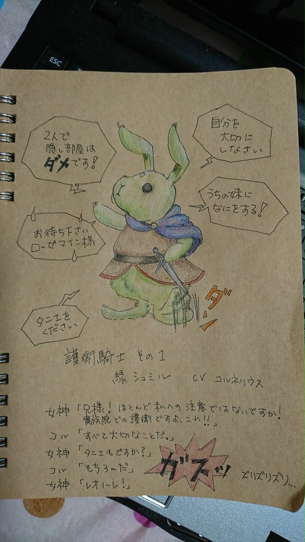 護衛騎士その壱