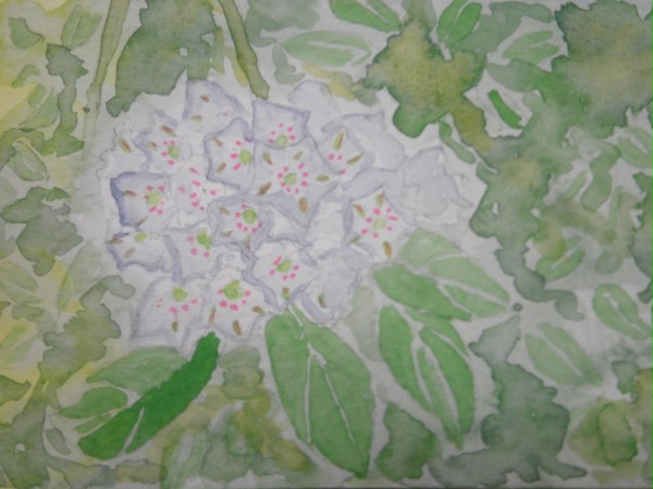 水彩画（葉書サイズ）