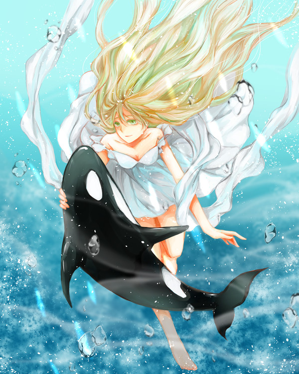 Killer whale