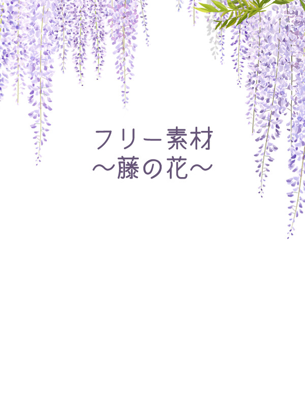 【フリー素材】藤の花
