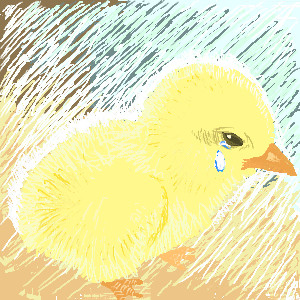 chick ひよっこ